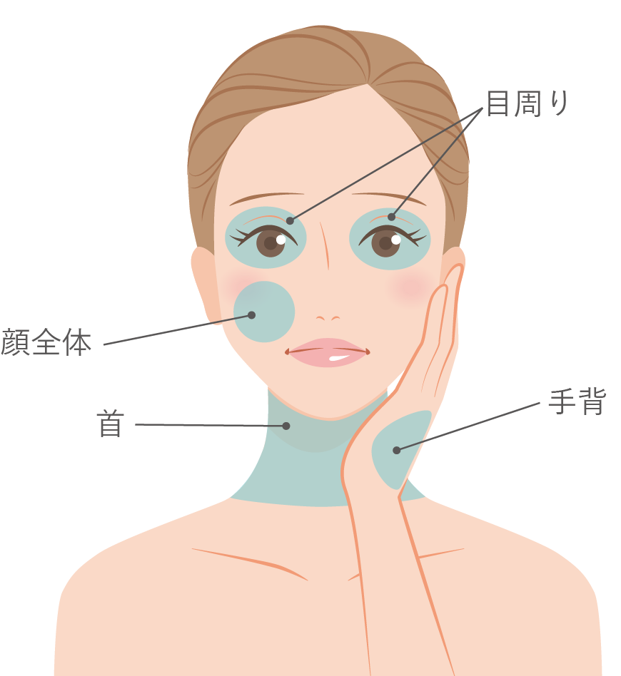 水光注射の注入可能部位